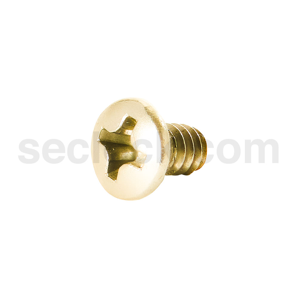 B600066 605 Schlage Screws SECLOCK